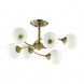 Потолочная люстра Lumion Daniella Comfi 4537/6C