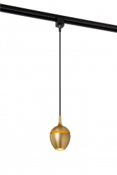 Трековый светильник Lucide TRACK 09958/01/02