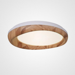 Потолочный светодиодный светильник Imperium Loft Runis 219474-26