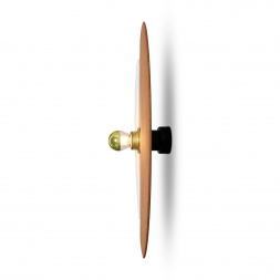 Настенный светильник Freya Carry FR5487WL-01G2