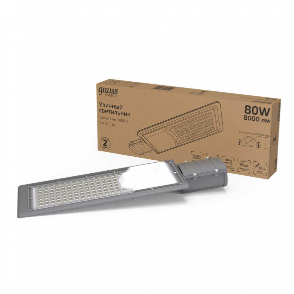 Уличный светодиодный светильник Gauss 629534180