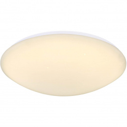 Потолочный светодиодный светильник Globo Atreju I 48363-24C