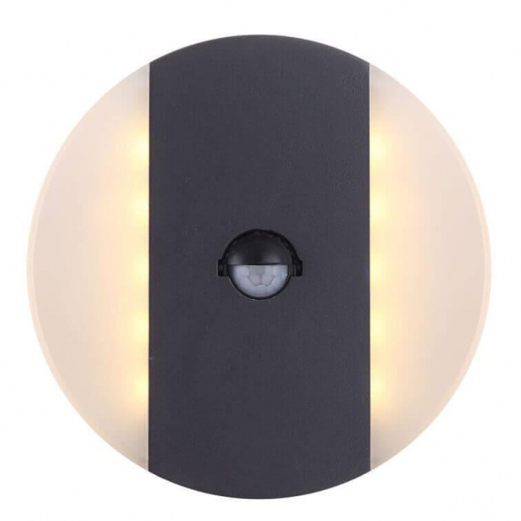 Уличный настенный светодиодный светильник Globo Moonlight 34166S