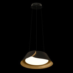 Подвесной светильник LOFT IT Lane 10370P Black