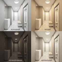 Потолочный светодиодный светильник Denkirs DK6511-WH/1