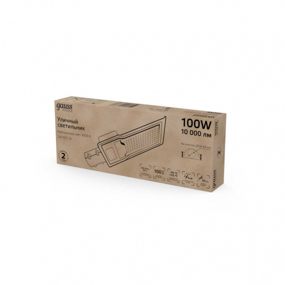Уличный светодиодный светильник Gauss 629534200