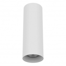 Потолочный светильник Lightstar Rullo 216496