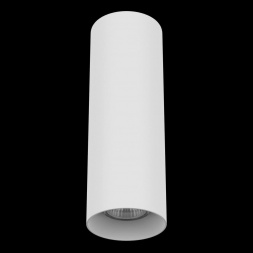 Потолочный светильник Lightstar Rullo 216496