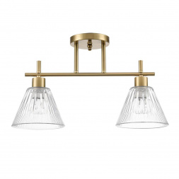 Потолочная люстра Lumion Comfi Vivian 8188/2C