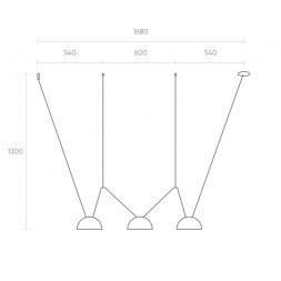 Трековая ременная система Denkirs Belty Set DK55SET01-03-DG