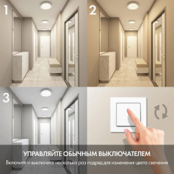 Потолочный светодиодный светильник Denkirs DK6515-WH/1