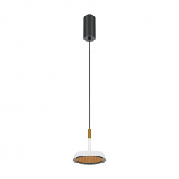 Подвесной светодиодный светильник Maytoni El MOD041PL-L15WG3K