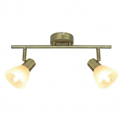 Спот Arte Lamp Parry A5062AP-2AB