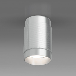 Потолочный светильник Elektrostandard Tony DLN109 GU10 серебро a047742