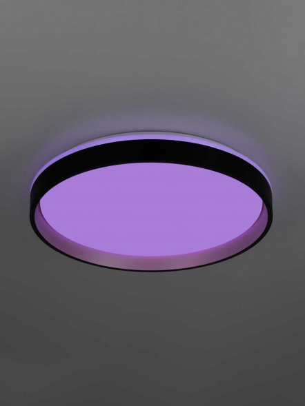 Светильник потолочный Citilux ENZO CL753451G