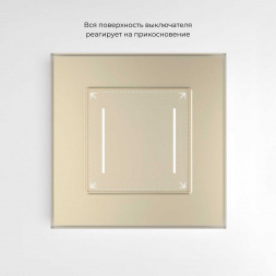 Выключатель двухклавишный с подсветкой сесорный Werkel шампань W4522011