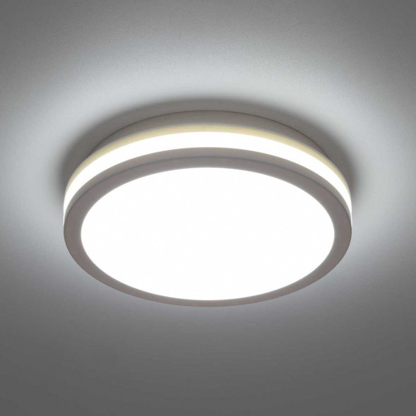 Светильник накладной Citilux LUNS CL711010V