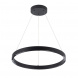 Подвесной светодиодный светильник Arte Lamp Lao A2189LM-1BK