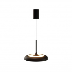 Подвесной светильник Maytoni MOD189PL-L39B3K