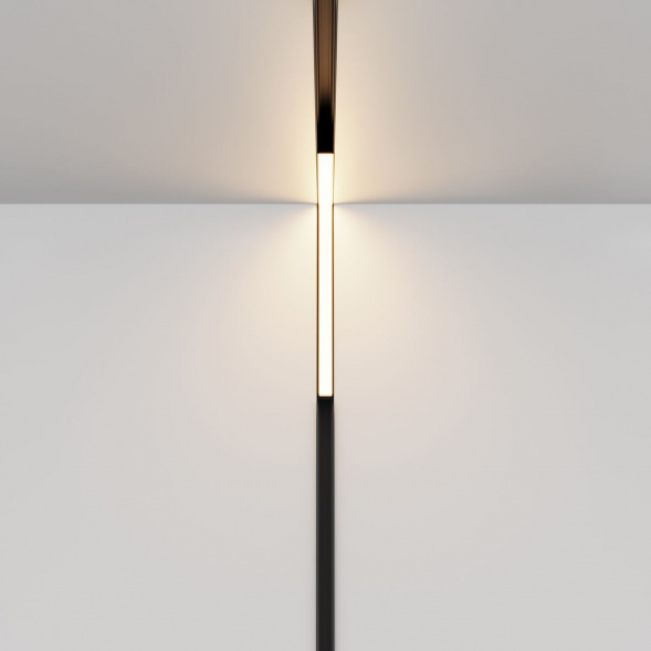 Трековый светодиодный светильник Maytoni Technical Exility Basis Angle TR102-24W-DS-B