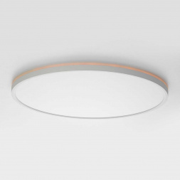 Потолочный светильник Citilux NORMA CL749500