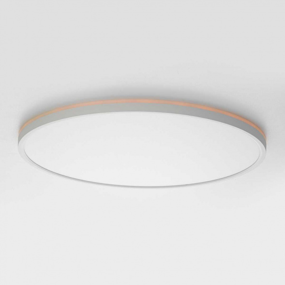 Потолочный светильник Citilux NORMA CL749500