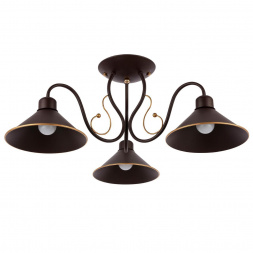 Потолочная люстра Evoluce Ciolla SLE120402-03