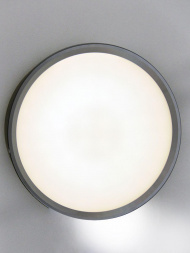 Потолочный светодиодный светильник Elvan NLS-544R-12W-NH-Bk