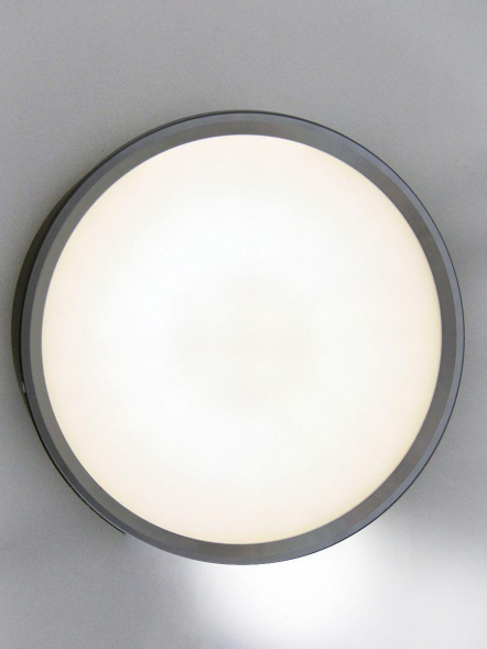 Потолочный светодиодный светильник Elvan NLS-544R-12W-NH-Bk