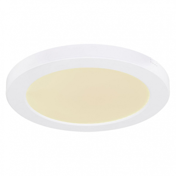 Настенно-потолочный светодиодный светильник Globo Lasse 12379-18W