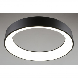 Подвесной светодиодный светильник Aployt Michell APL.052.13.60