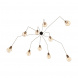 Подвесная люстра Loft IT Spider Loft1162A/10