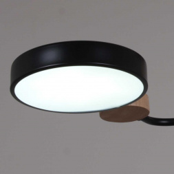 Светильник потолочный Reluce 03326-0.3-05 BK+WOOD