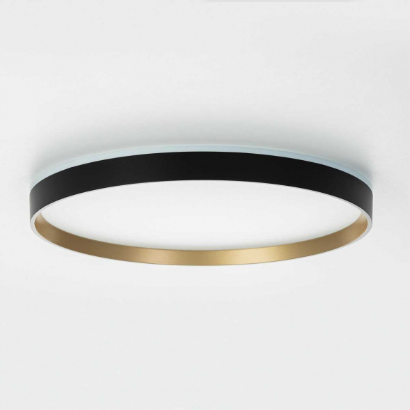 Потолочный светильник Citilux ETALON CL750401R