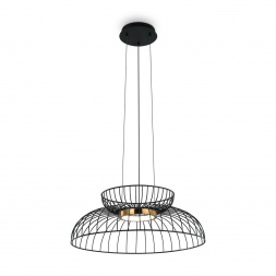 Подвесной светодиодный светильник Freya Citrus FR5398PL-L6B