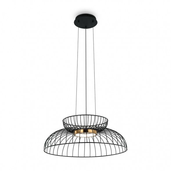 Подвесной светодиодный светильник Freya Citrus FR5398PL-L6B