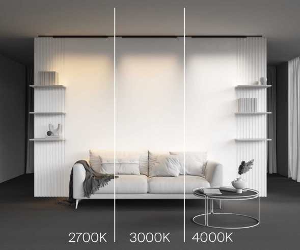 Трековый светильник Maytoni Technical Basis TR192-1-21W3K-B