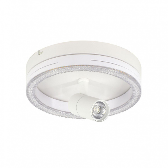 Потолочный светодиодный светильник Escada 20044SMA/02LED WH