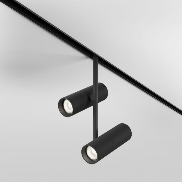 Трековый светодиодный светильник Maytoni Technical Magnetic Exility Elti Duo TR005-2-2X12W4K-B
