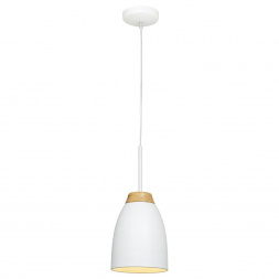 Подвесной светильник Loft IT Watchman Loft4402A-Wh