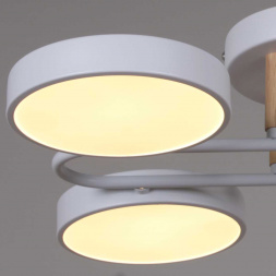 Светильник потолочный Reluce 03322-0.3-08 WH+WOOD