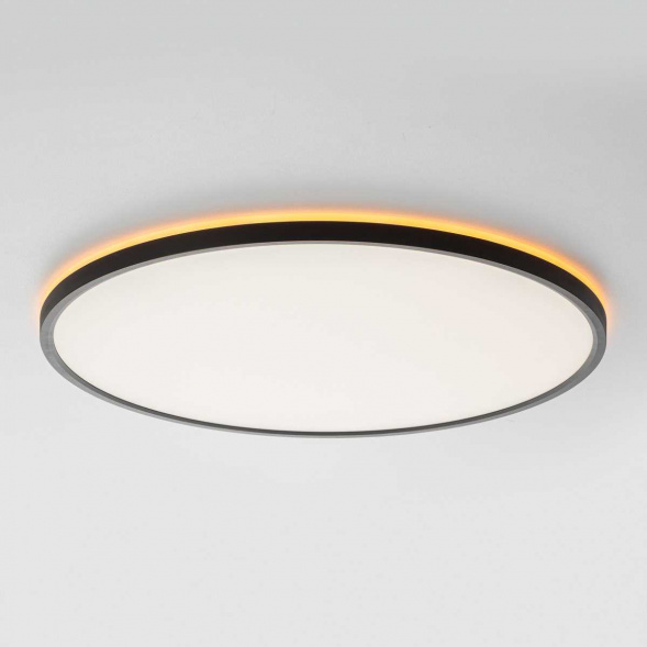 Потолочный светильник Citilux NORMA CL749501