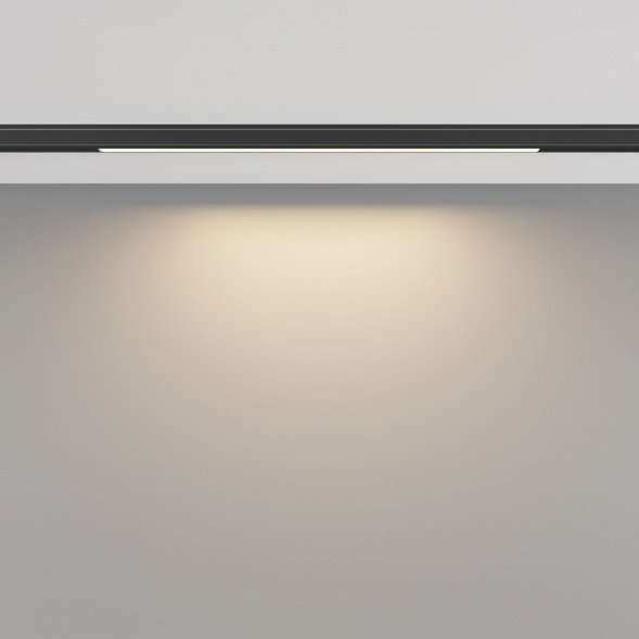 Трековый светодиодный светильник Maytoni Technical Basis TR190-1-5W3K-B