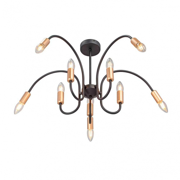 Потолочная люстра Vitaluce V3026-1/10PL