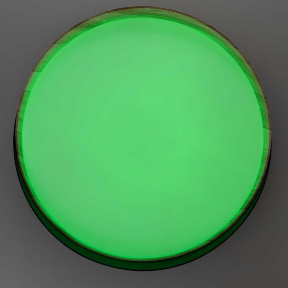 Светильник потолочный Citilux BONNY CL754351G