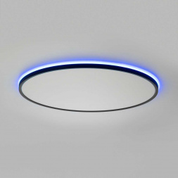 Потолочный светильник Citilux NORMA CL749601