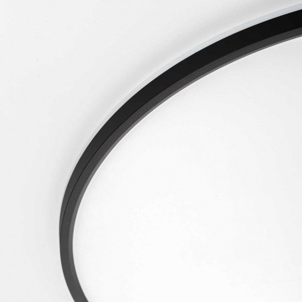 Потолочный светильник Citilux NORMA CL749601