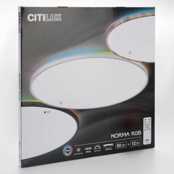 Потолочный светильник Citilux NORMA CL749601