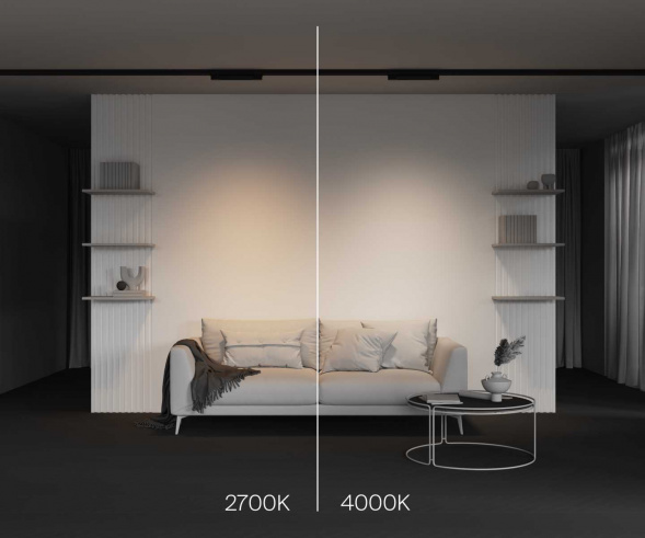 Трековый светодиодный светильник Maytoni Technical Basis TR196-3-10W4K-B