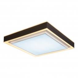 Потолочный светодиодный светильник iLedex Summery B6233-117W/520*520 WH